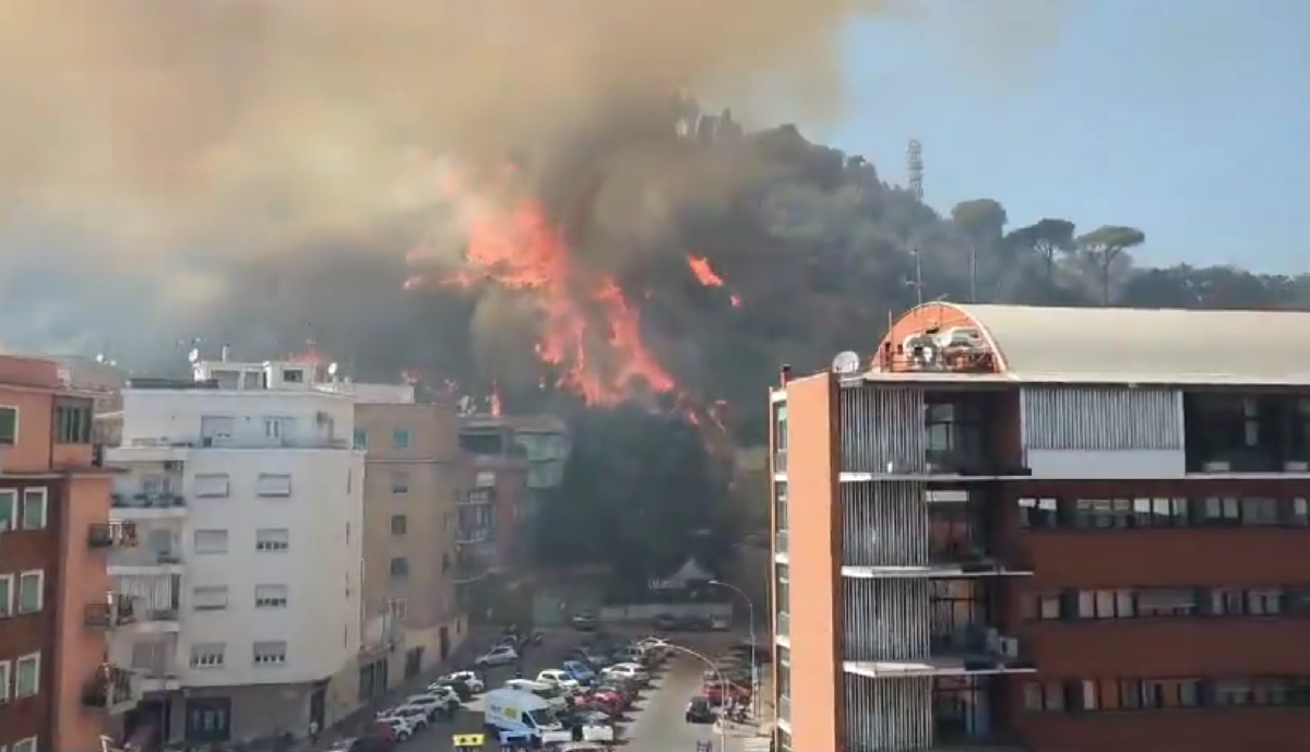 Roma, incendio sulla collina di Monte Mario: sindaco Gualtieri sul posto. I residenti: "Sembrava l'11 settembre"| VIDEO