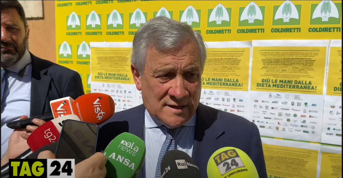 Ucraina, Tajani: ”Positivo per l'Italia che il vertice NATO abbia scelto un inviato speciale per il fronte sud"| VIDEO