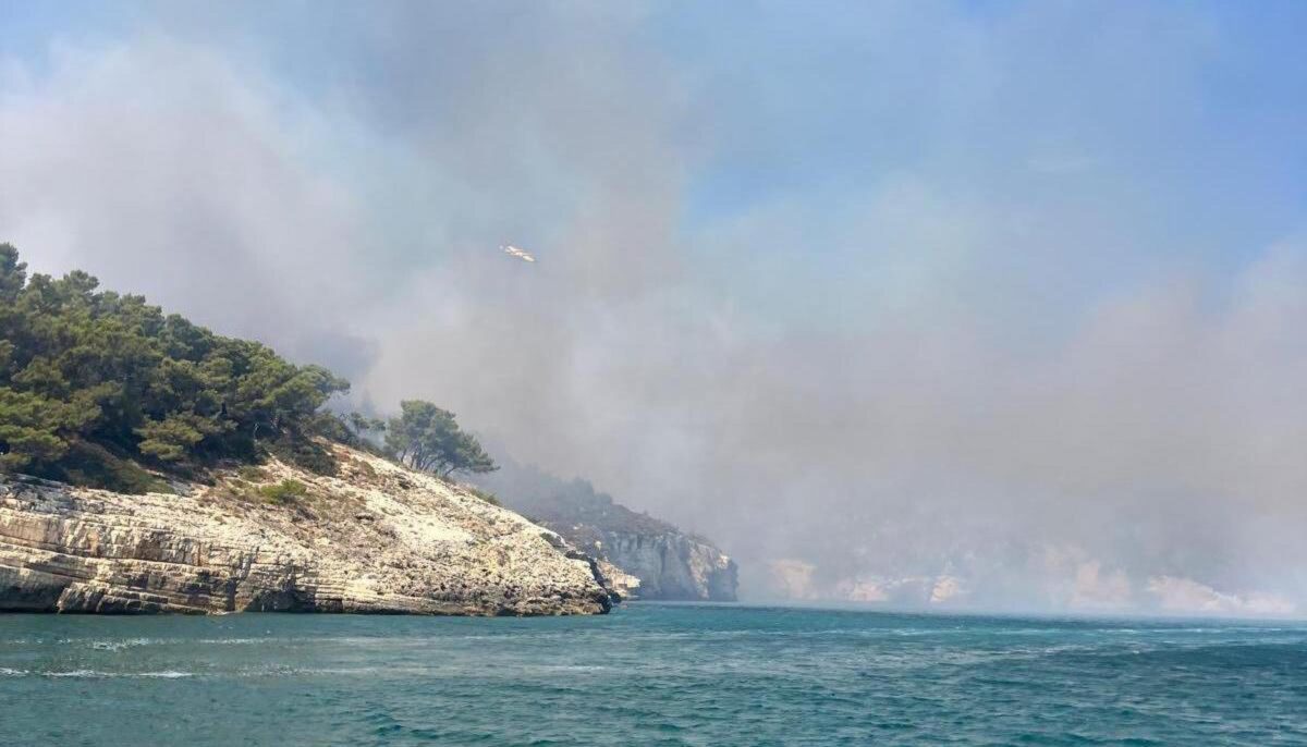 Incendio a Vieste, in fiamme il bosco di Baia San Felice: evacuati più di 1000 turisti, in azione i Canadair| VIDEO