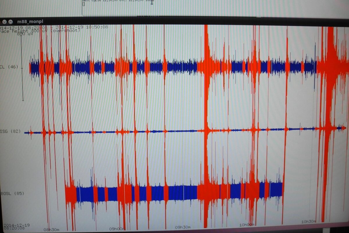 Usa, scossa di terremoto di magnitudo 4.9 in Texas: non ci sono feriti