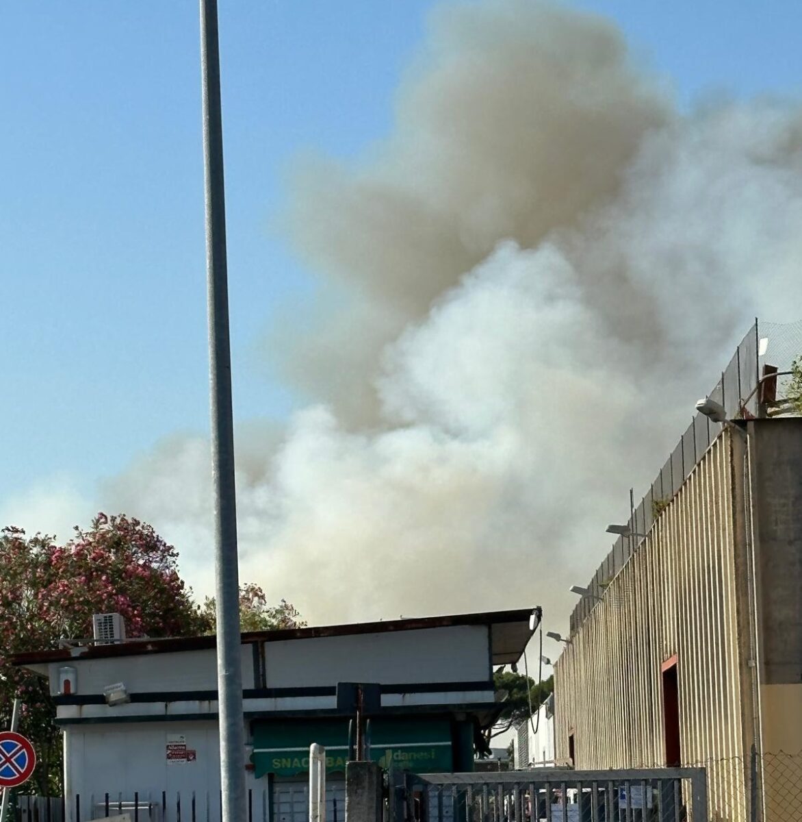 Roma, scoppia un incendio all'altezza dell'uscita A13 del Raccordo: colonna di fumo visibile da lontano| FOTO