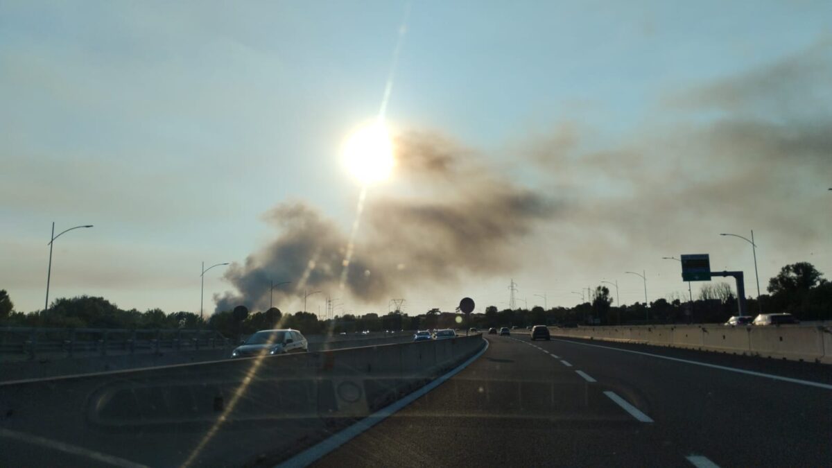 Roma brucia oggi 28 luglio 2024: incendi devastano la capitale da Ponte di Nona a Colli Aniene, colonne di fumo visibili a chilometri | FOTO e VIDEO