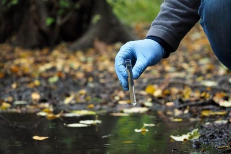 Pesticidi nell’acqua potabile: quali sono i rischi ambientali e per la salute?