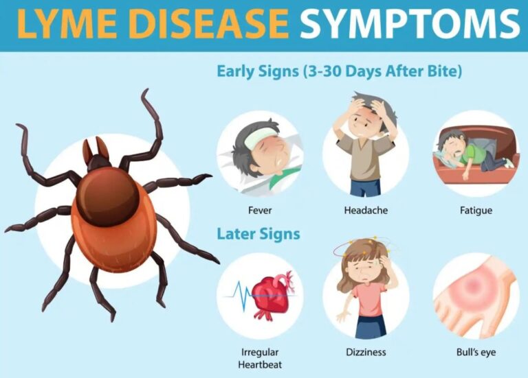 È iniziata la sperimentazione finale del vaccino contro la malattia di Lyme