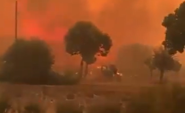 La Turchia brucia da 3 giorni: evacuati 900 residenti da Smirne a causa degli incendi | VIDEO