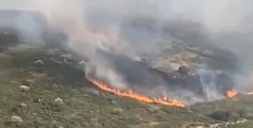 Incendio in Francia, evacuati 3mila campeggiatori in Occitania: cosa sta succedendo? | VIDEO