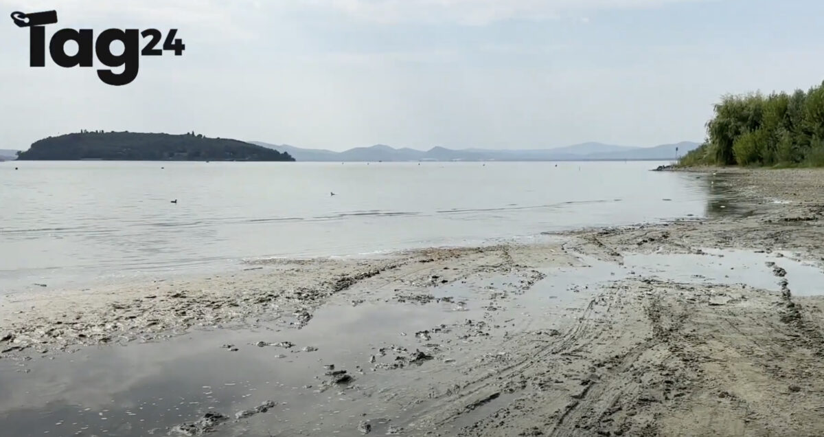 Siccità, critica la situazione del lago Trasimeno, i cittadini preoccupati: "Moria di pesci e rischi per il turismo" | VIDEO