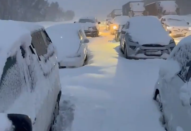 Neve in Sudafrica, l'evento anomalo paralizza il Paese: cumuli alti 2 metri e un morto | VIDEO e FOTO