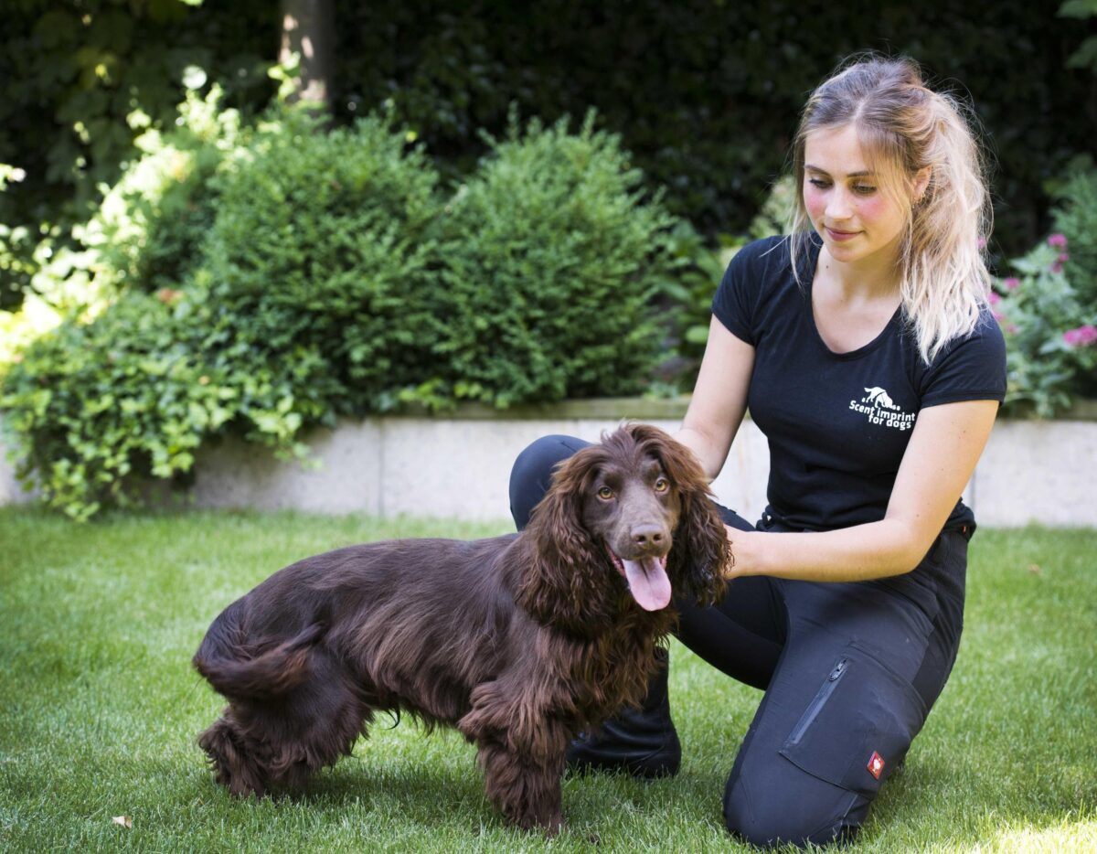 Roma, rapina finita in tragedia a Monteverde Vecchio: il cane Ricky gettato dal 6° piano. Ecco cos'è successo