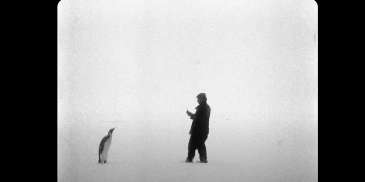 Quando esce "Bestiari, Erbari, Lapidari" di Massimo D'Anolfi e Martina Parenti? Trama e durata del film al Festival di Venezia 2024