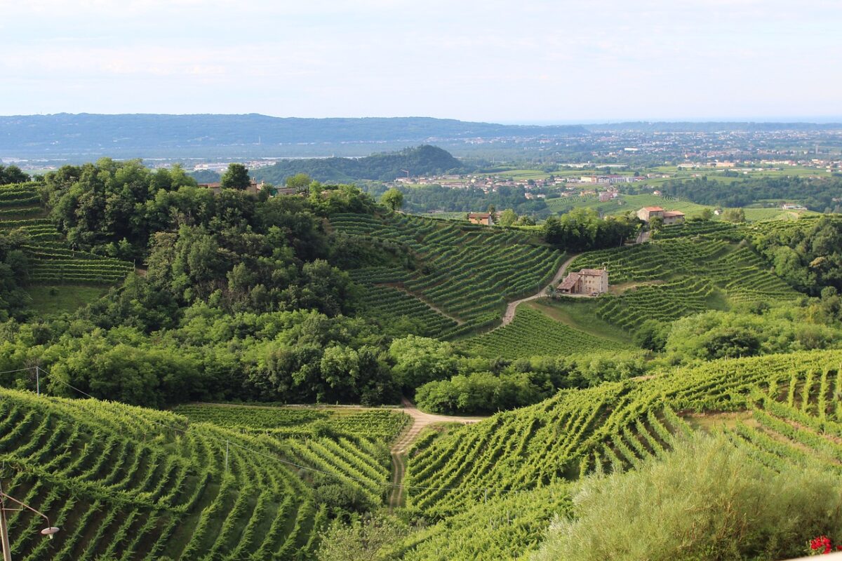 Cosa fare in Veneto durante l'autunno: non solo foliage